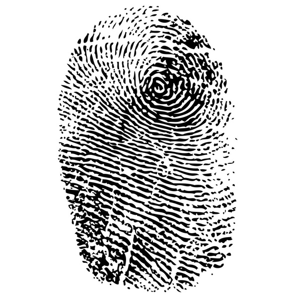 Fingerprint vector - Vector, Image