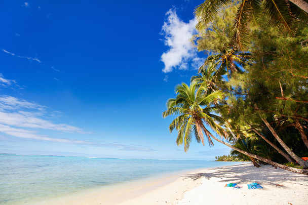 Hermosa playa tropical en la isla exótica en el Pacífico
 - Foto, Imagen