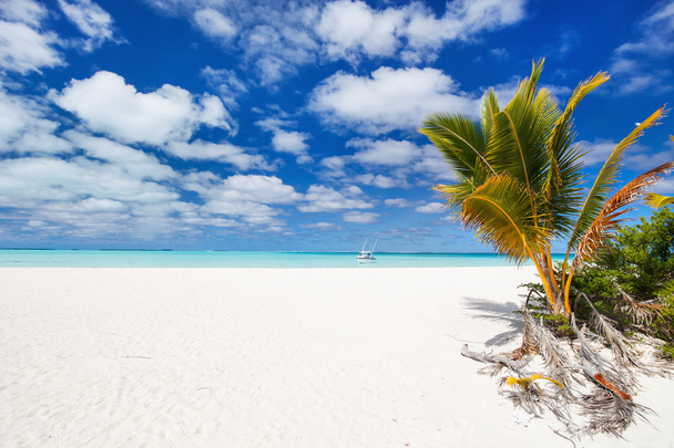 Impresionante playa tropical en la isla exótica en el Pacífico
 - Foto, Imagen