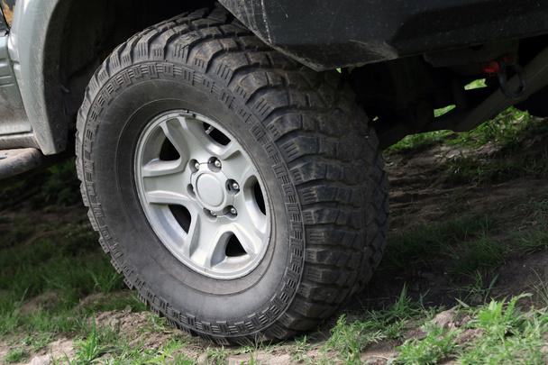 SUV tire - Photo, Image