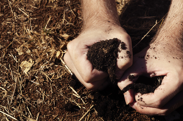 hand grijpen een droge patch van aarde - Foto, afbeelding