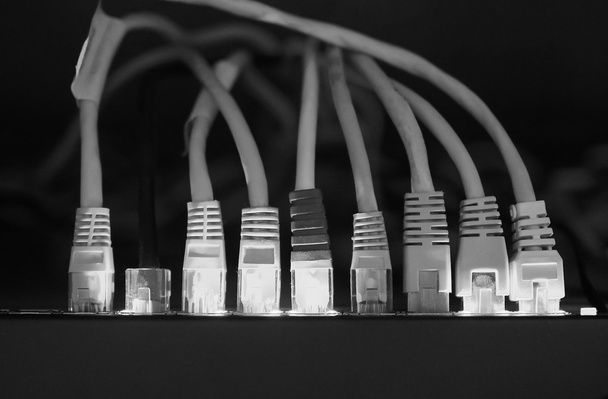 Siyah ve beyaz ağ cihazları - Fotoğraf, Görsel