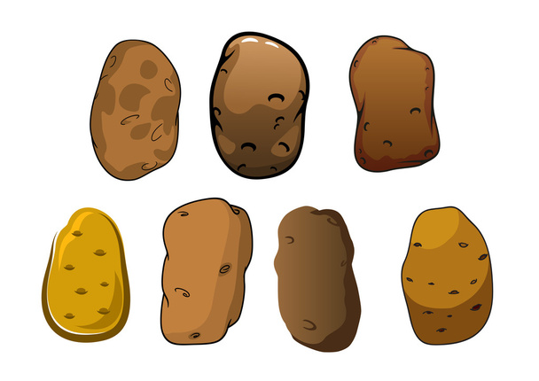 Fresh potatoes vegetables with brown skin - Vector, afbeelding