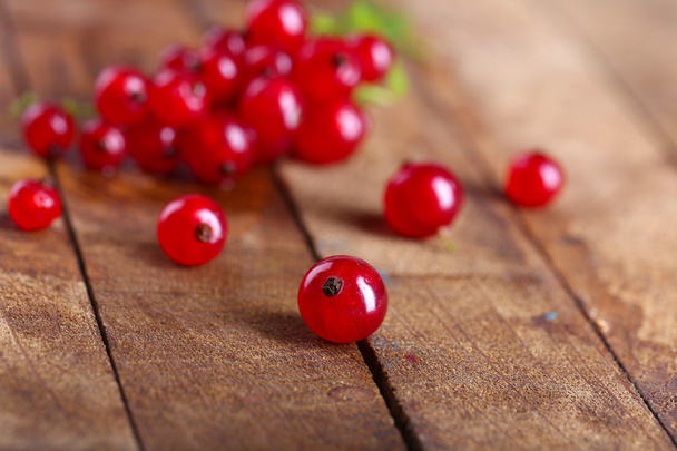Fresh red currants - Foto, Imagen