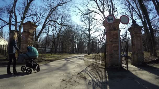 Mütterspaziergang mit Kinderwagen im Park, Konzept Kindererziehung - Filmmaterial, Video
