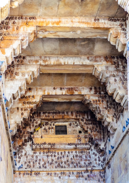 インド ラジャスタン ジャイサルメルの黄金の砦の中のコウモリ - 写真・画像