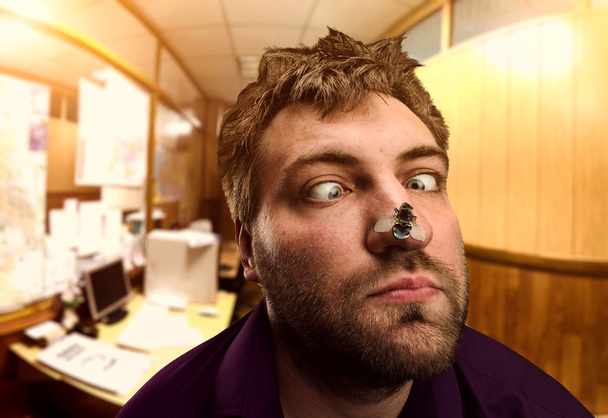businessman looking at fly on nose - Photo, Image