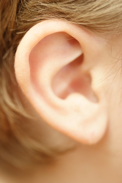 Child's ear - Photo, Image