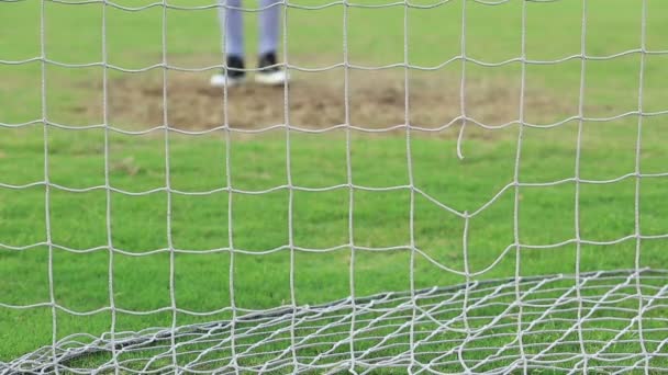 Soccer net with grass - Footage, Video