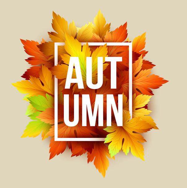 Autumn typographic. Fall leaf. Vector illustration - Vetor, Imagem