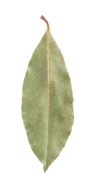 Bay laurel leaf - Fotografie, Obrázek
