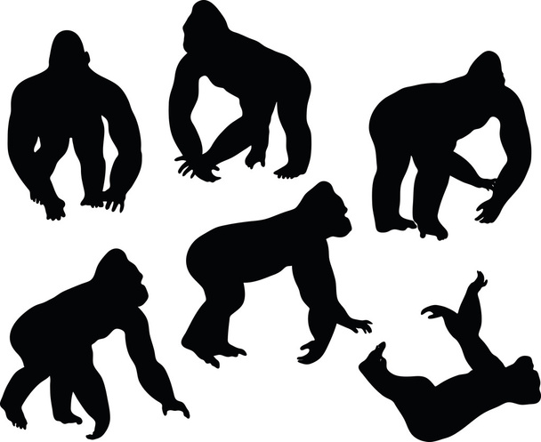 Силуэт гориллы
 - Вектор,изображение