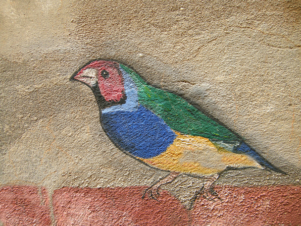 Vogelzeichnung auf Mauerwerk - Photo, image