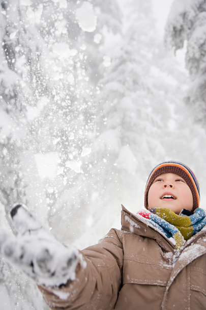 Poika lumisessa metsässä
 - Valokuva, kuva