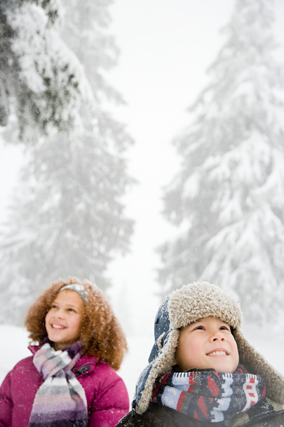 Niños en el bosque nevado
 - Foto, imagen