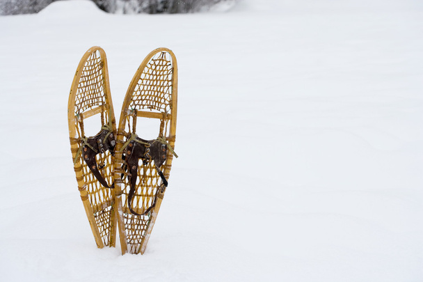 Снігове взуття в лісі
 - Фото, зображення