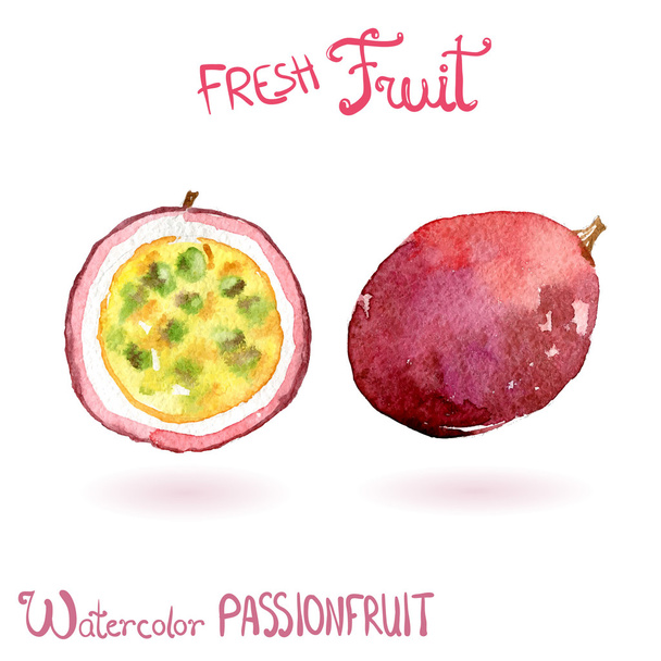 Bright watercolor fruit passion fruit - Vektör, Görsel