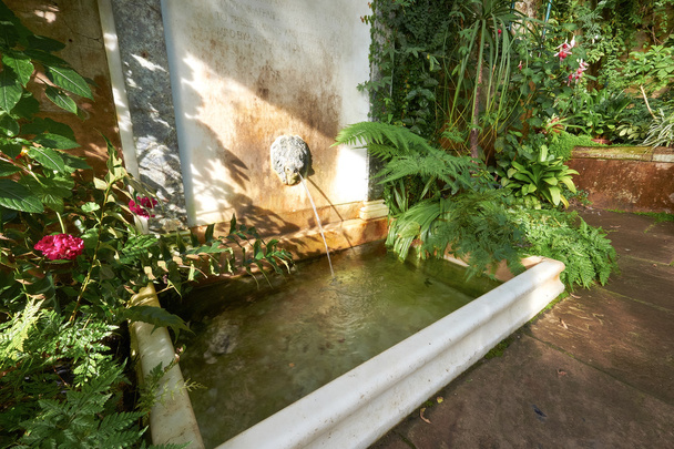 Fontaine à eau à Wallington House
 - Photo, image