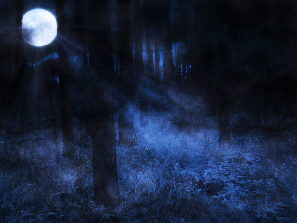 Місяць у нічному лісі
 - Фото, зображення
