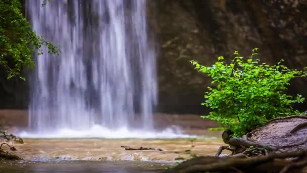 Nádherný vodopád padající do lesa - Záběry, video