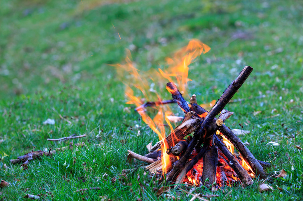 Yeşil çayır üzerinde kamp ateşi - Fotoğraf, Görsel