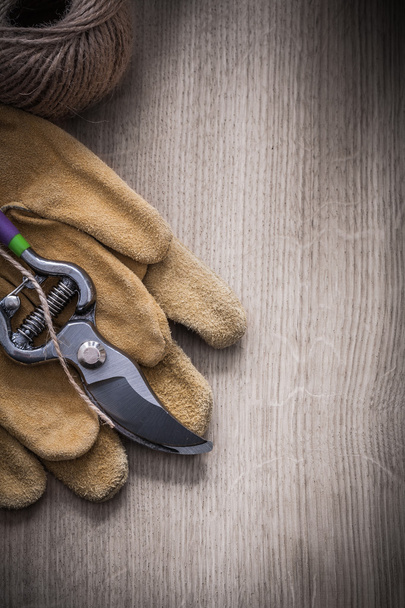 safety gloves, secateurs and skein of twine - Фото, изображение