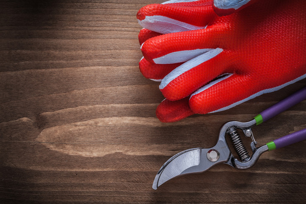 Protective gloves and sharp pruning shears - Φωτογραφία, εικόνα