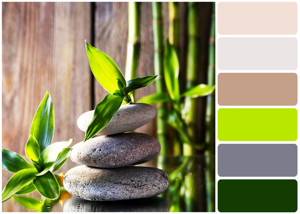 Wellness kameny a větve bambus a paletu barev - Fotografie, Obrázek
