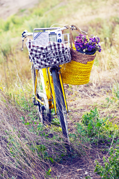 Bicycle with basket of flowers in meadow during sunset - Photo, image