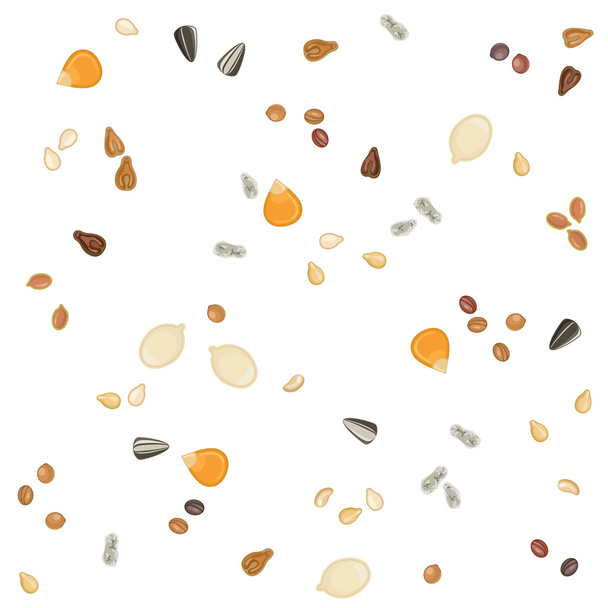 Seamless pattern of oilseeds - Vector, Image