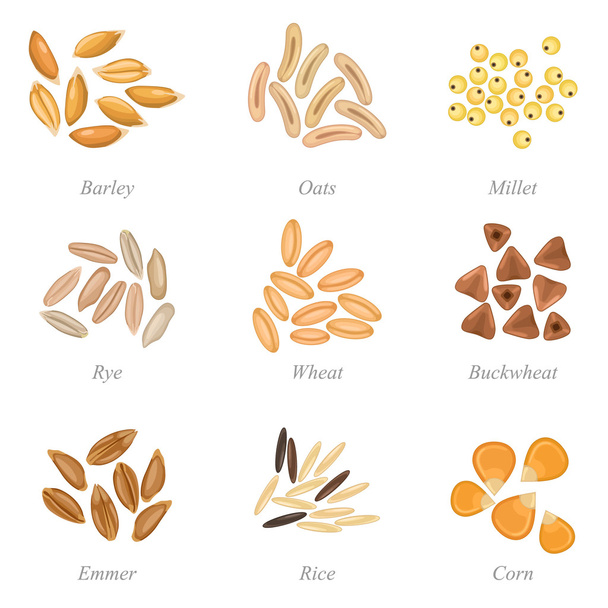 Conjunto de ícones de grãos de cereais parte 3
 - Vetor, Imagem