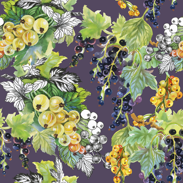 ripe currant and gooseberries  pattern - Foto, afbeelding