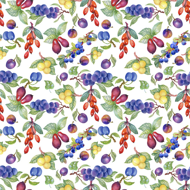 summer berries pattern - 写真・画像