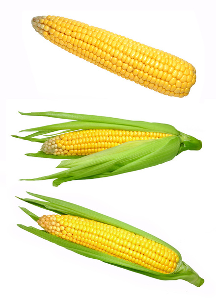 Кукуруза изолирована
 - Фото, изображение
