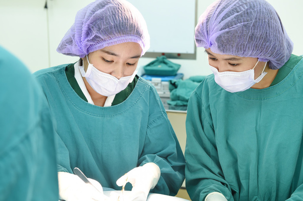 two veterinarian surgeons in operating room - Foto, Bild
