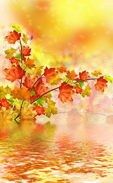 Осенняя листва. - Фото, изображение
