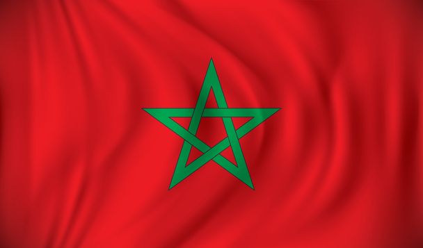 モロッコの旗 - ベクター画像