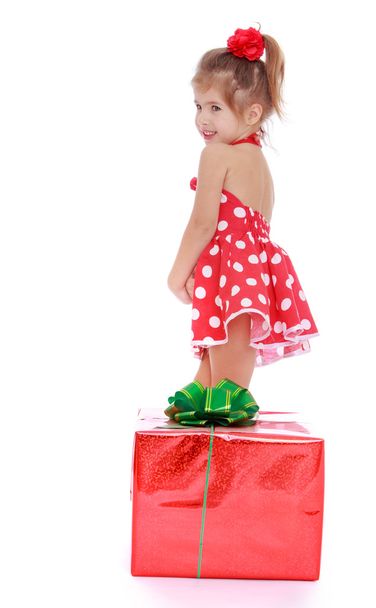Little girl with gift - Fotografie, Obrázek