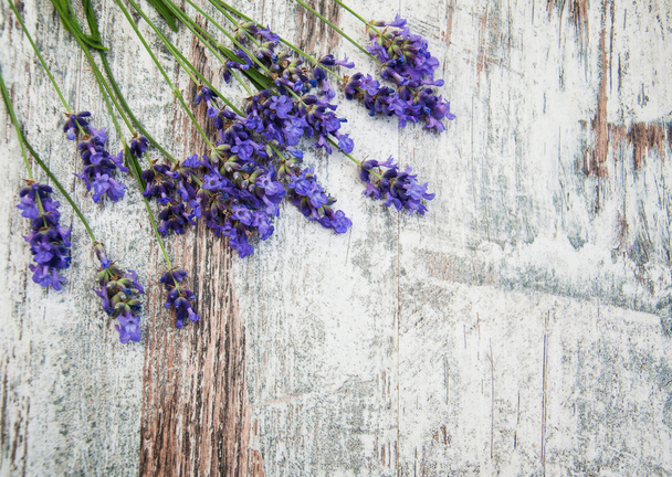 Лаванда квіти
 - Фото, зображення