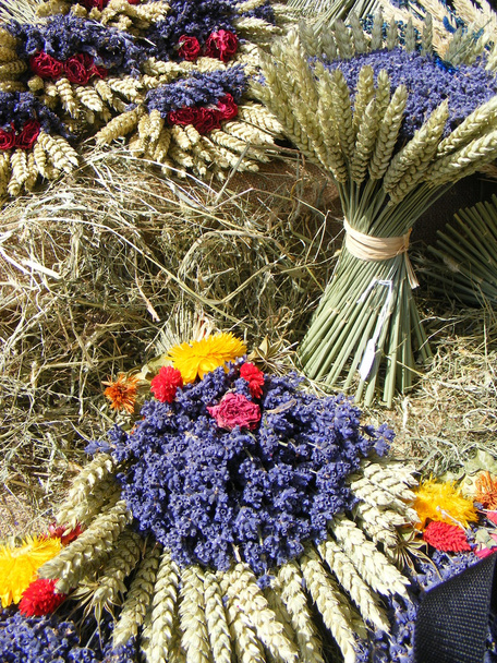 Пучки lavenders
 - Фото, зображення