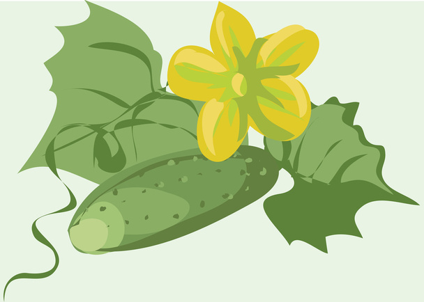Cucumber on a bed. Vector - Vector, Image