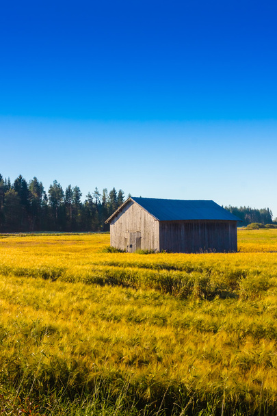Casa de granero en los campos de otoño
 - Foto, imagen