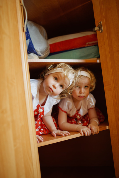 two cute twin girls - Fotografie, Obrázek