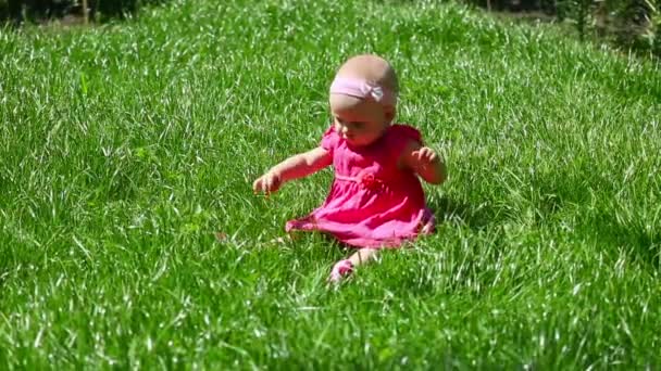 Kislány a fűben - Felvétel, videó