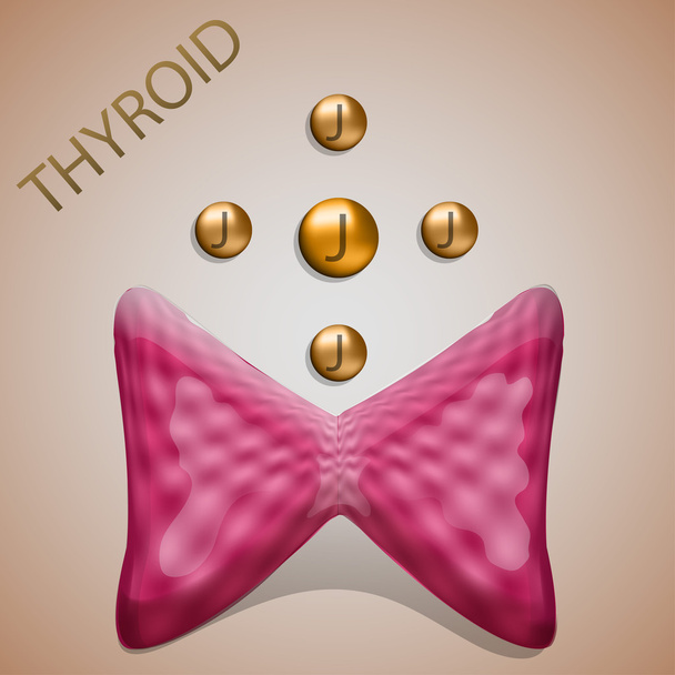 thyroïde, iode
 - Vecteur, image