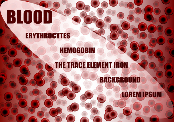 bloed, erithrocytes, achtergrond - Vector, afbeelding