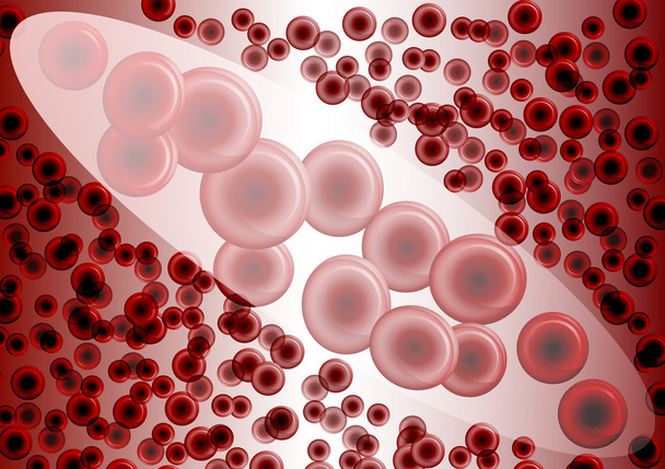 Kırmızı kan hücreleri büyütme altında - Vektör, Görsel
