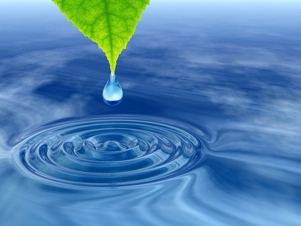 Gota de agua o rocío conceptual que cae de una hoja verde fresca sobre un agua azul clara haciendo olas
 - Foto, imagen
