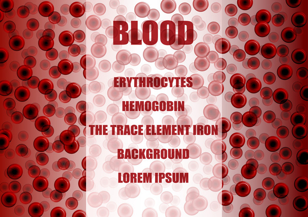 rode bloedcellen, erytrocyten - Vector, afbeelding