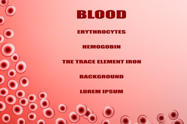 赤血球 - ベクター画像